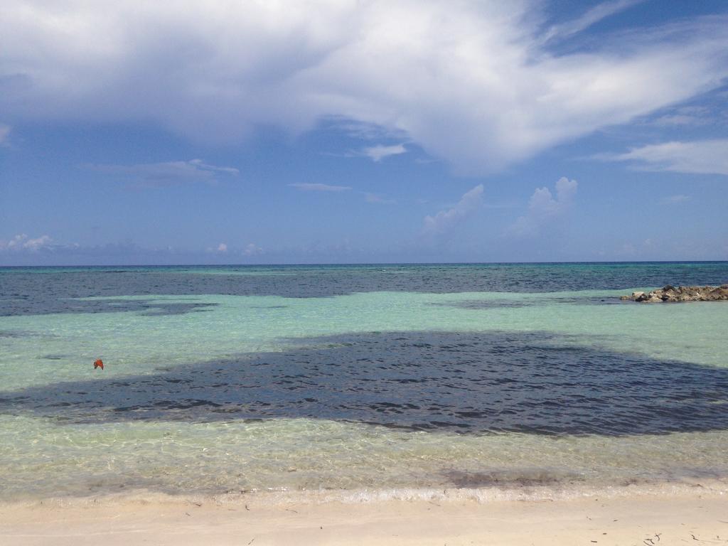 Seacastles By The Beach/Pool モンテゴ・ベイ エクステリア 写真